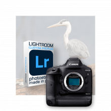 Profils Lightroom spécifiques Canon EOS 1Dx ᛫ 2011