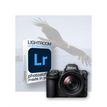 7 Profils Lightroom spécifiques pour le Nikon Z8
