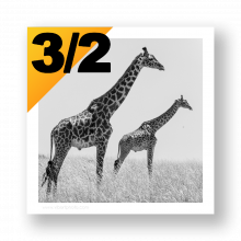 Presets de Cadres au ratio 3/2 pour Lightroom Classic