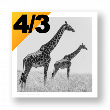 Presets de Cadres au ratio 4/3 pour Lightroom Classic