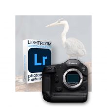 Profils Lightroom spécifiques pour le Canon EOS R1