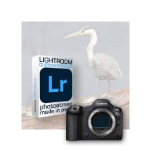 Profils Lightroom spécifiques pour le Canon EOS R5 MkII