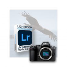 7 Profils Lightroom spécifiques pour Nikon Z50 II