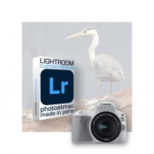 Profils Lightroom pour Canon EOS 200D et EOS 250D