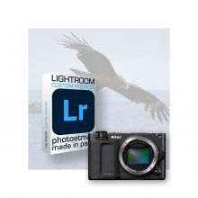 7 Profils Lightroom spécifiques pour Nikon ZR
